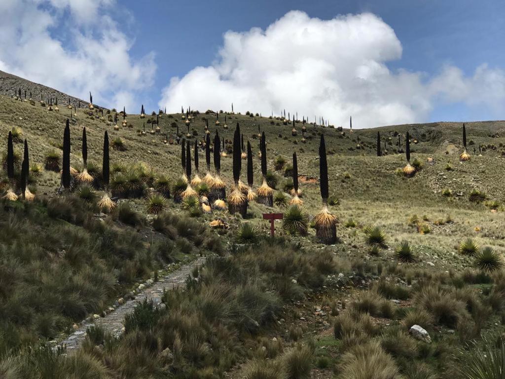 Amazing Huaraz B&B 외부 사진