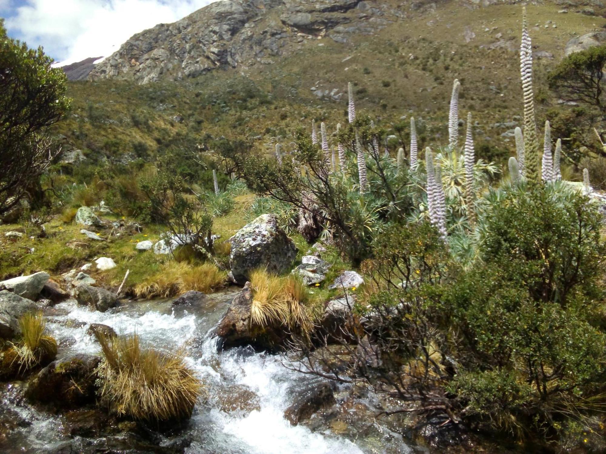 Amazing Huaraz B&B 외부 사진